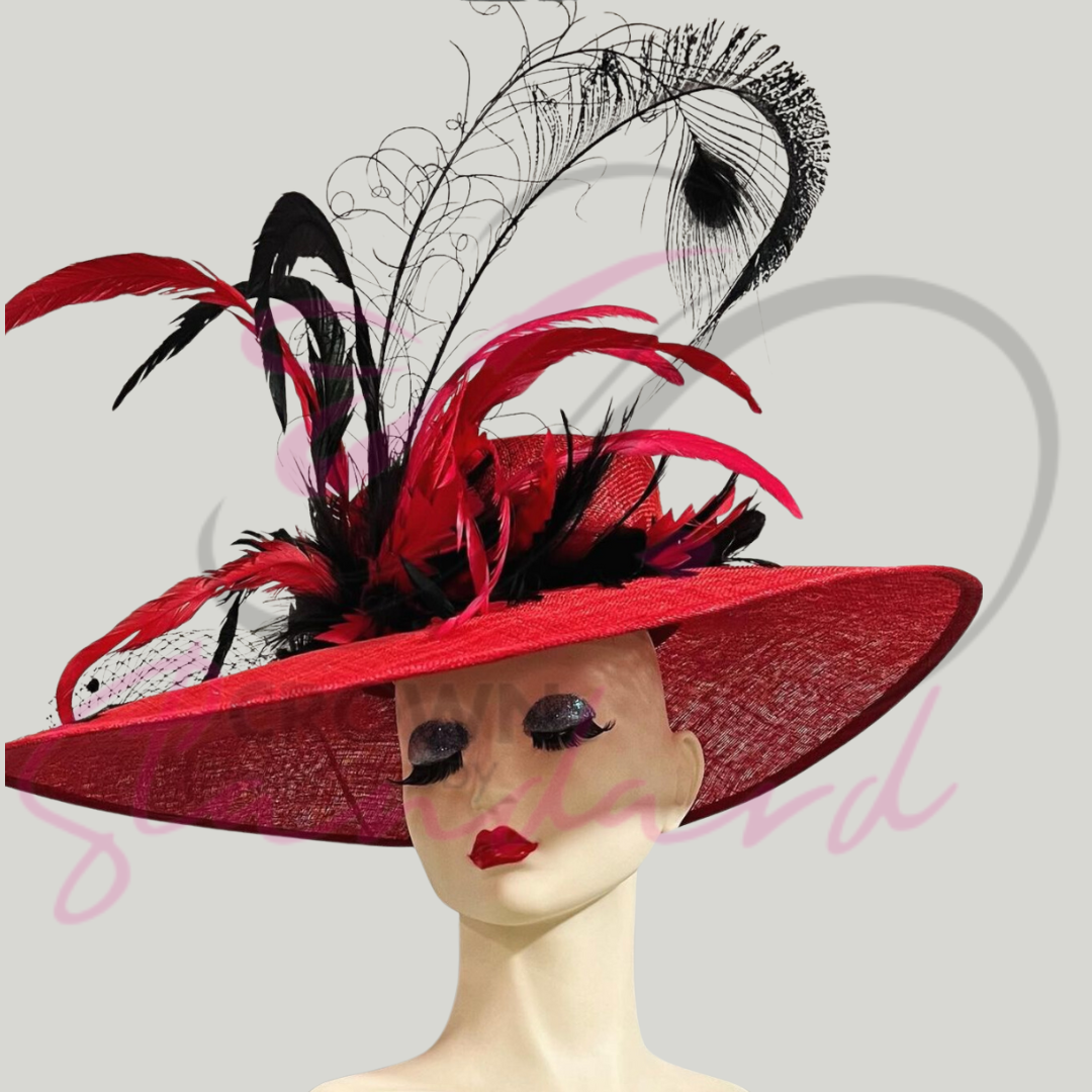 Red hat with black feathers and other design details!